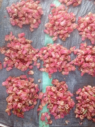 This image, taken in Wamba, Nigeria, depicts an overhead view of numerous dried, pinkish-red, trumpet-shaped flowers or flower buds. They are systematically arranged into approximately nine distinct, uneven piles across a dark grey, coarsely woven tarpaulin or mat. A single vertical stripe of turquoise-green material bisects the mat and the flower arrangement from top to bottom. No individuals are visible, and no discernible actions or interactions are occurring within the frame. The overall scene suggests a drying or processing stage for the floral material in an outdoor or semi-sheltered environment.