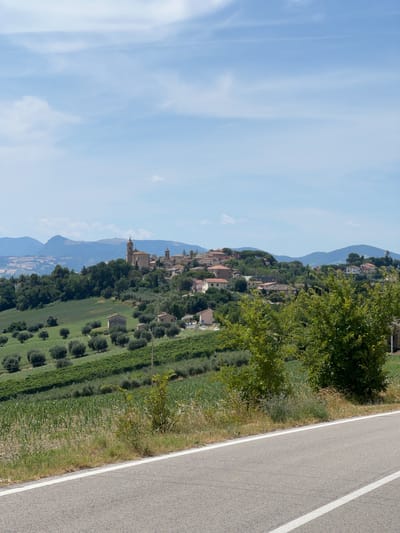 This is a full shot, eye-level, outdoor, daytime, landscape photograph taken from a road looking towards the Italian town of Barbara. The foreground consists of a paved road with a white line separating lanes, bordered by dry grass and some green vegetation. In the midground, there are rolling hills covered with agricultural fields. Some fields show rows of green crops, possibly corn, while others are planted with olive trees. A few small buildings are scattered among the fields. The background features the town of Barbara, situated on a hilltop. The town is characterized by terracotta-roofed buildings, with a prominent church tower. Lush green trees surround the town. In the far background, mountains are visible under a clear blue sky with scattered white clouds. The overall scene depicts a rural Italian landscape bathed in natural light.