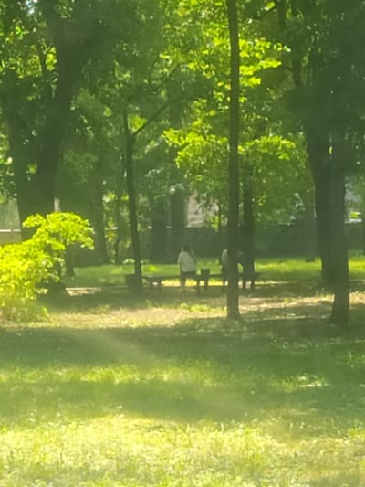 In Shpola, Ukraine, this image captures a sun-dappled park scene. Two individuals are seated on a park bench amidst lush greenery. Sunlight streams through the dense foliage of mature trees, casting dappled patterns on the grassy ground. The overall atmosphere is one of serene outdoor recreation.