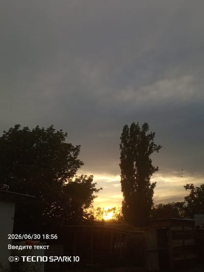 A sunset is viewed over a rural landscape. Silhouetted trees are visible in the foreground and middle ground, with a very tall, thin tree dominating the center of the image. The sky is overcast with scattered clouds, and the sun is low on the horizon, casting a warm glow. In the lower left corner of the image, text indicates the date and time as "2026/06/30 18:56", and a watermark reads "TECNO SPARK 10". The scene appears to be in the city of Жанай, Kazakhstan.