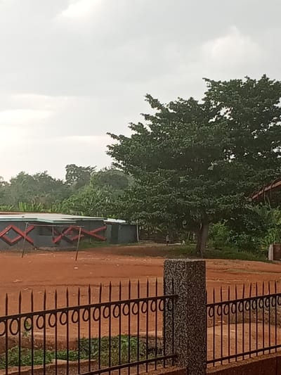 The image portrays an outdoor scene in Konongo, Ghana, under an overcast sky. In the immediate foreground, a black metal fence with pointed vertical spikes and circular decorative elements runs horizontally, partially obscured on the right by a textured concrete pillar featuring a speckled pattern. Beyond the fence, a large expanse of reddish-brown dirt or soil occupies the midground. To the left, a low-slung, grey building with a flat roof exhibits prominent red, angular "X" patterns on its visible side, with several wooden poles positioned near it. A large, deciduous tree with a full green canopy stands centrally to the right in the midground. Beneath this tree, two blurry figures are discernible; one appears to be a standing person, and the other a smaller, lighter shape, possibly a second individual or an animal. The background comprises a dense line of diverse green tropical vegetation, including what appears to be banana plants, extending to the horizon under a pale grey sky.