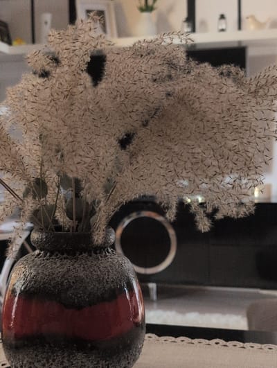 This is a close-up, medium shot of dried ornamental grass in a vase. The grass is a light tan color and appears fluffy and feathery, with many delicate seed heads. The vase is dark gray with a rough, textured surface and features a glossy, deep red stripe running vertically down one side. In the background, a dark, possibly black, object with a circular cutout is visible. To the left of the grass, a blurred white shelf unit with some items on it can be seen. To the right, a piece of white fabric with a scalloped edge is draped, possibly part of a curtain or tablecloth. The lighting suggests an indoor setting, likely during the daytime, though no specific time of day or weather conditions can be determined. There is no visible text in the image. The overall impression is one of a still life, focusing on the textures and forms of the natural elements and the vase. The location context provided is Słupsk, Poland.