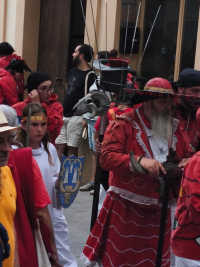 The image captures a segment of a parade or historical reenactment, likely in Sant Cugat del Vallès, Spain. The foreground is dominated by individuals dressed in elaborate, red, historical-style costumes. One prominent figure in the center wears a wide-brimmed, red hat with yellow trim, a red coat adorned with white ruffled trim and gold ribbon accents, and a long white beard. They are holding a dark, curved object. To the left, a young girl in a white outfit and a gold headband looks directly at the camera with a serious expression. She holds a blue shield featuring a crest with two towers and a hand symbol. Behind her, a person in a red garment and black headscarf adjusts their glasses.

Further back, several other participants are visible, mostly in red attire and some wearing black head coverings. A man with a beard, wearing a black t-shirt with a graphic print and white shorts, stands in the background, looking to the side. The scene appears to be taking place outdoors during the daytime, possibly on a street lined with buildings, as suggested by the architectural elements and the presence of a door or entrance in the background. The atmosphere seems festive, characteristic of a cultural event. No specific time of day or weather conditions are discernible. There is a partial view of a sign in the upper background that appears to say "vensure".