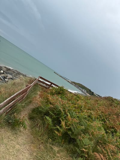 The image shows a coastal scene in Courtown, Ireland. A rustic wooden fence runs diagonally across the foreground, bordering a grassy and fern-covered embankment. Beyond the embankment is the sea, a pale turquoise color, meeting a rocky shoreline on the left. In the distance, a pier extends into the sea, and a small town is visible along the coast. The sky is overcast with a pale grey hue. The image is taken from a slightly elevated perspective, looking down and across the landscape.