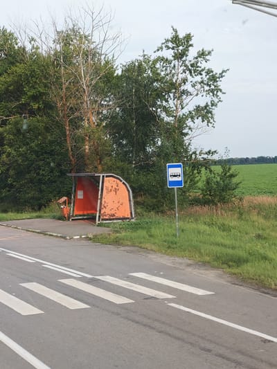 The image depicts a rural bus stop located on the outskirts of Shirokois, Russia. The bus stop shelter is orange and appears weathered. Next to it is a small, orange trash receptacle. A white and blue bus stop sign is visible on a metal pole to the right of the shelter. The bus stop is situated on a paved area next to a road with a pedestrian crossing marked with white stripes. Lush green grass and trees form the background, with a cultivated field visible in the distance. The sky is overcast. There are no people visible in the image.