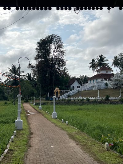 A landscape image shows a brick path running alongside a green grassy area. The path is lined with white posts with square bases. In the background, a white building with a red-tiled roof is visible among trees and palm trees. The sky is overcast with clouds. The image is a landscape view of a location in Pilana, Sri Lanka. The foreground appears to be taken under some sort of overhang.