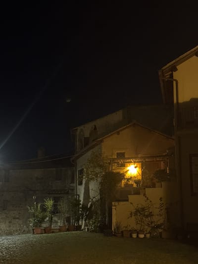 At night, an illuminated street in Castelnuovo di Porto, Italy, shows a two-story stone building lined with potted plants. Above, a taller building with a pointed roof reflects light from a nearby streetlamp. The background is predominantly dark.