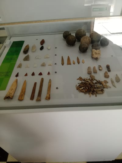 The image displays an indoor museum exhibit showcasing archaeological artifacts, likely related to ancient hunting and tool-making, in Villa Carlos Paz, Argentina. The artifacts are arranged within a glass display case against a light grey background.
On the left side, a collection of spherical stones, resembling "boleadoras" or "bolas," are displayed, with a sign indicating "7 BOL." Above these, a white sign is visible with text "UNIDAD CAZA" (HUNTING UNIT) and "PUNTA TIPO TIGRE" (TIGER TYPE POINT).
The main part of the display features various types of projectile points and tools. In the upper middle section, smaller stone and bone fragments are arranged in groups. Below these, multiple rows of finely crafted stone projectile points, such as arrowheads, are neatly categorized. Further right, a series of elongated bone tools or points are also displayed. In the upper right of the artifact area, a cluster of organic material, possibly dried plant or animal remains, is present.
Two green informational strips along the bottom provide context: "Puntas Intihuasi II-II (4000-1500 años antes del presente)" (Intihuasi II-II points, 4000-1500 years Before Present) and "distintos tipos de puntas tardías (500-300 años antes del presente)" (different types of late points, 500-300 years Before Present). Some artifacts are numbered from 1 to 6. The scene is well-lit, typical of a museum setting, with some glare visible on the glass of the display case. No people are visible.