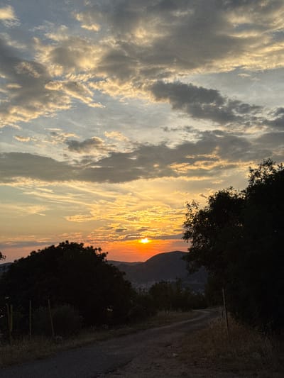 An outdoor vertical, eye-level shot captures a sunset over rolling hills and a dirt road in the village of Čelobrdo, Montenegro. The sky is a canvas of dynamic clouds, tinged with the warm hues of the setting sun, which is partially obscured by distant mountains. The sun's radiant glow breaks through the clouds, casting a golden light on the atmospheric haze. Silhouetted trees frame the scene, one on the right side of the image and another in the lower left, their dark forms contrasting with the bright sky. A winding dirt road leads into the landscape, disappearing between the trees and into the shadowed terrain. The foreground is sparsely covered with dry grass and foliage, with a simple fencepost visible on the left side, indicating a rural setting. The overall impression is one of serene natural beauty at dusk.