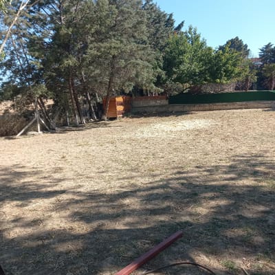 The image depicts an outdoor scene in Çatalca, Turkey, likely a rural or semi-rural area. In the foreground, a dry, sandy, and somewhat overgrown patch of ground is visible, with sparse dry grass and fallen leaves. The ground is dappled with shadows cast by overhead trees. A reddish-brown metal bar and a dark coil of wire are present on the ground in the lower right portion of the frame.

In the middle ground, a wooden structure, possibly a birdhouse or small shelter, stands near several tall trees with dense green foliage. Behind this structure, a low wall made of brick and concrete is visible, topped with a strip of artificial green turf or matting, suggesting a boundary or decorative element.

The background is dominated by a line of trees, including tall pines and other deciduous trees with green leaves. A clear blue sky is visible above the trees, indicating a sunny day. The overall impression is of a natural or landscaped outdoor area, possibly a garden, park, or the grounds of a property. There are no people visible in the image.