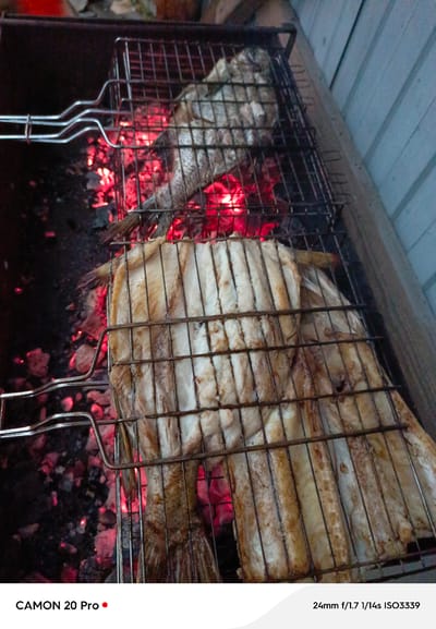 Two whole fish are being grilled over hot coals. The fish are positioned on a metal grill rack, with the top fish appearing whole and the bottom fish filleted. The coals are red and glowing, indicating intense heat. The scene appears to be outdoors, possibly in a backyard or campsite setting, as suggested by the presence of a grill and the natural lighting. There are no people visible in the image. The text overlay at the bottom of the image indicates the device used to take the photo (CAMON 20 Pro) and its settings (24mm f/1.7 1/14s ISO3339). There is no indication of the location being Plesetsk, Russia.