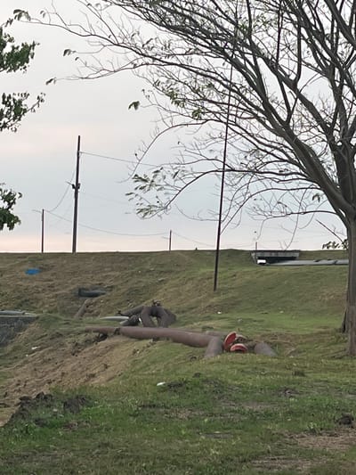 The image depicts an outdoor scene with a large tree on the right, its branches extending across the frame against a hazy sky. The foreground features a grassy slope with several large, rusty pipes laid on the ground. Some of these pipes are connected, forming U-shapes, and one appears to have red caps on its openings. The slope is uneven, with patches of disturbed earth and vegetation. In the middle ground, a higher embankment is visible, also covered in grass. Several utility poles and power lines stretch across the background, with a bridge-like structure further in the distance. The overall impression is one of an industrial or utility area on the outskirts of a city, possibly near water. The presence of the pipes suggests a system for transporting fluids. This scene could be located in the city of Besuki, Indonesia, given the visual cues.
