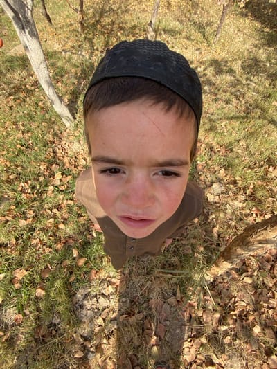 A young boy wearing a black prayer cap and brown shirt gazes upward. A thin scratch marks his forehead. He stands in a grassy area littered with fallen leaves and small branches. Sunlight illuminates his face, creating shadows on the ground. A tree trunk is visible to his right.