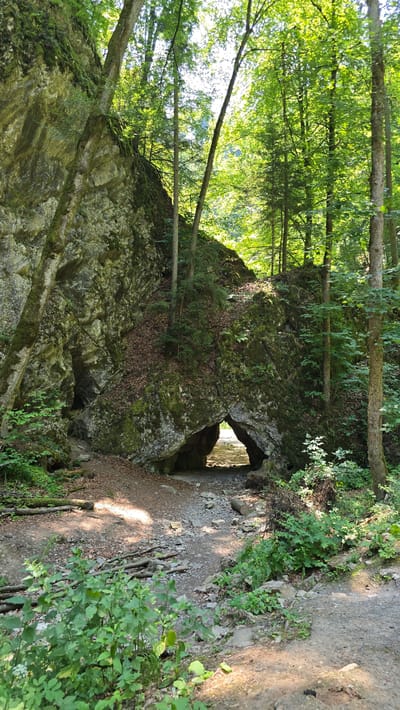 The image depicts a natural rock formation with an archway in a forest. The rock is covered in moss and vegetation. Sunlight filters through the dense canopy of trees, creating dappled lighting on the ground and the rock face. The path leading to the archway is unpaved and scattered with fallen leaves and small branches. On either side of the path, there is lush green undergrowth. The archway itself is a dark opening, with bright light visible beyond it, suggesting an exit or another open area. The overall scene is one of a natural, somewhat wild, and secluded outdoor environment. The location is identified as Nové Dvory, Czechia.