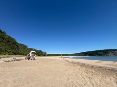 The image depicts a wide, sandy beach with calm, blue water on a clear, sunny day. The beach is bordered by lush green hills on both sides. In the foreground, there is a collection of driftwood artfully arranged, forming a skeletal structure with wooden planks. The sand shows tire tracks and footprints. In the background, several people can be seen scattered along the shoreline and in the water, some appearing to be swimming or wading. Beach umbrellas and a small structure are visible in the distance, suggesting a resort or a designated beach area. The sky is a uniform, vibrant blue, with no clouds present. This scene is located on the beach in Rezovo, Bulgaria.