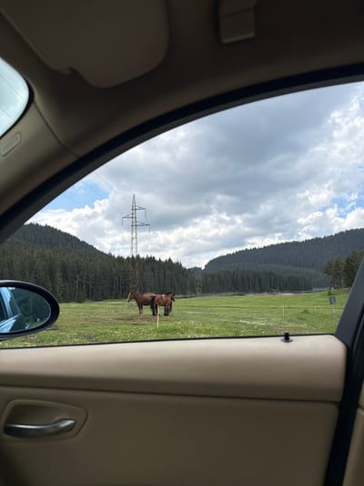 This image captures a vibrant natural landscape, viewed from the interior of a vehicle, possibly in the region of Цигов чарк, Bulgaria. The perspective is tilted, suggesting the photo was taken at an angle through a side window.
Inside the vehicle, light-colored upholstery of the door panel, window frame, and a side-view mirror are visible on the left and right, framing the outside scene. The side mirror partially reflects the vehicle's exterior and a glimpse of the field.
Outside, a vast, lush green meadow or pasture stretches across the midground. The field is dotted with numerous small white and yellow wildflowers. Two brown horses are prominent in the right side of the field; one appears to be standing while the other might be grazing. A tall, metal lattice-work electricity pylon stands centrally in the field, with power lines extending across the sky.
In the background, a dense coniferous forest covers the slopes of what appear to be hills or mountains, defining the horizon. Above the forest and field, the sky is partly cloudy, with large, diffused clouds obscuring parts of the blue sky, indicating a bright but overcast day, likely late morning or afternoon.
The image portrays a peaceful, rural setting, highlighting the co-existence of natural elements like animals, forests, and meadows with human infrastructure in a scenic environment. There is no visible text in the image.
