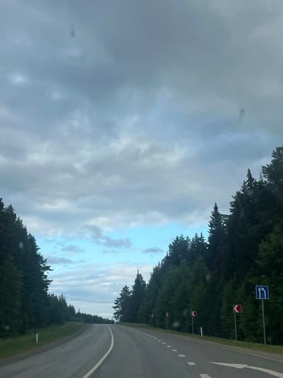 This is a ground-level, eye-level, medium-shot photograph of a winding asphalt road passing through a dense forest with tall, dark green coniferous trees on both sides. The sky is overcast with a mix of gray clouds and patches of light blue sky. There are several road signs visible along the right side of the road. These include red and white signs indicating sharp curves to the left and a blue sign with white arrows showing two lanes ahead. The road has a white dashed line marking the lane division and a solid white line on the right edge. The overall scene depicts a rural or highway setting in a forested area. The location is stated to be in the city of Kryukovo, Russia. There are no people or vehicles visible in the image.