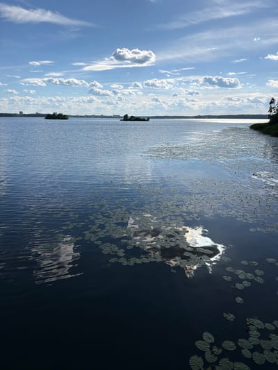 The image depicts a wide, calm lake under a bright blue sky filled with scattered white clouds. The water's surface is mostly smooth, with subtle ripples that catch the sunlight. Numerous lily pads are scattered across the water, some clustered together and others more spread out. In the distance, a distant shoreline is visible, with a line of trees and some buildings suggesting an urban or semi-urban area. Two small, tree-covered islands are present in the middle of the lake. The reflection of the sky and clouds is visible on the water's surface, particularly in the lower half of the image, where a bright patch of sunlight reflects strongly. The overall scene is tranquil and natural, suggesting a peaceful day at the lake. This scene is likely a view of Lake Senezh in Solnechnogorsk, Russia, given the characteristic landscape of islands and the presence of both natural and developed areas along the shoreline. There are no people or specific actions captured in this static landscape view.