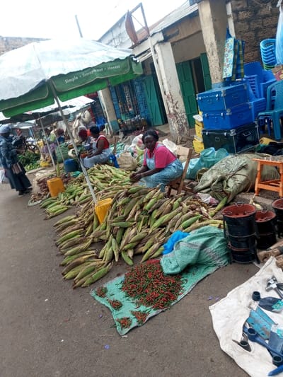 An outdoor market scene is depicted in Tala ward, Kenya. The foreground shows an asphalt or dirt ground serving as a market aisle. A large quantity of fresh corn on the cob, still in husks, is piled directly on the ground. To the right of the corn, a green fabric mat holds a dense pile of red and green chili peppers. Adjacent to the chili peppers, several black charcoal stoves are stacked, and a white tarp displays various metal tools including shovels, hoes, and a hammer.

In the mid-ground, a woman wearing a pink top and a blue and white patterned apron is seated on a low wooden stool, looking towards the viewer. She is positioned amidst the corn piles. Behind her and to the left, several other individuals, mostly women, are visible, attending to market stalls with various produce such as root vegetables and leafy greens. These stalls are shaded by large umbrellas, one of which is green and white with "Simple Transparent Honest" branding.

The background consists of single or two-story buildings with weathered stone or concrete block construction. Many storefronts feature closed metal or wooden doors, some painted green or blue. Stacked blue plastic chairs and several blue and black metal storage trunks are visible against the buildings on the right side. The sky is overcast, providing diffused natural light.