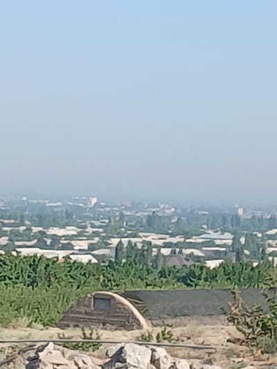 The image shows a hazy, panoramic view of a city, possibly May, Uzbekistan, on a clear day. In the foreground, there are some rocks and a low, arched structure covered with dark material, possibly a greenhouse or storage shed. Behind this, a dense green area, likely a field or garden with various plants, stretches across the middle ground. Further back, the city unfolds with rows of buildings featuring white or light-colored roofs and interspersed with trees. The background is dominated by a pale blue, hazy sky, indicating a bright but possibly polluted atmosphere. No people are visible in the image.