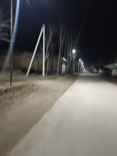 A nighttime view of a long, straight road illuminated by streetlights. Bare trees line the side of the road, interspersed with utility poles. Buildings are faintly visible in the background. The road surface is light-colored, reflecting the streetlight glow, and the surrounding area is darker, adding to the scene's contrast. The overall ambiance is quiet and still.