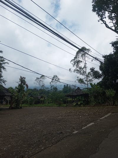 A cloudy sky hovers above a landscape with multiple wooden structures, resembling gazebos, nestled amidst dense vegetation. Utility lines crisscross the sky. The foreground features a rough, uneven dirt patch, transitioning into a paved surface on the right. The overall scene suggests a rural or semi-rural setting, possibly a park or recreational area.