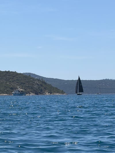 In Banići, Croatia, a body of calm, blue water is dotted with sun glints. In the distance, a green, treed hill forms the backdrop. On the left, a white motor yacht is docked near the shore. To the right, a sleek, black sailboat with a tall mast cuts through the water, followed by a white sailboat further in the distance. The sky is clear and blue.