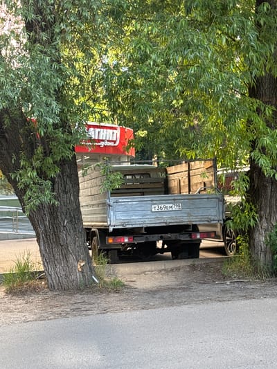 The image captures a flatbed truck parked on a paved surface, partially obscured by the trunks and foliage of two large trees. The truck, a gray flatbed with a wooden cargo area, has a license plate reading "T369EM 790 RUS". In the background, a red sign with white lettering, which appears to be advertising "МАГНИТ", is visible, suggesting a commercial establishment. The environment suggests an outdoor urban setting, possibly in the city of Bykovo, Russia, with paved roads and sidewalks visible. No people are present in the frame.
