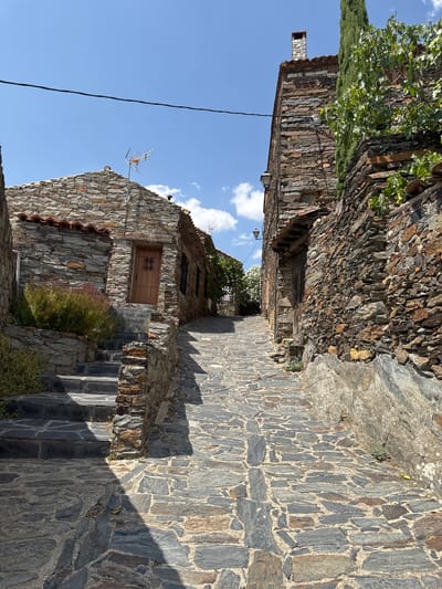 This is a full, eye-level, outdoor shot of a narrow, cobblestone street in Patones de Arriba, Spain, on a bright, sunny day. The street is lined with old, rustic stone buildings constructed with slate and rough-cut stone.
On the left, a set of dark stone stairs leads up to a wooden door with a barred window. The building flanking the stairs has a low-pitched tiled roof. To the right of the stairs, a dense green bush grows.
The street itself is paved with irregular gray and brown stones. The buildings on the right are taller and also made of stone. One has a tall, narrow chimney. A street lamp is visible on the wall of this building, and a tall evergreen tree grows next to it. Green foliage from a tree hangs over the wall on the right.
The sky is a clear blue with a few scattered white clouds. A black power line stretches across the upper portion of the image. A small, yellow lizard is visible on the cobblestones in the lower right quadrant of the image, bathed in sunlight. The overall impression is one of an ancient, well-preserved village.