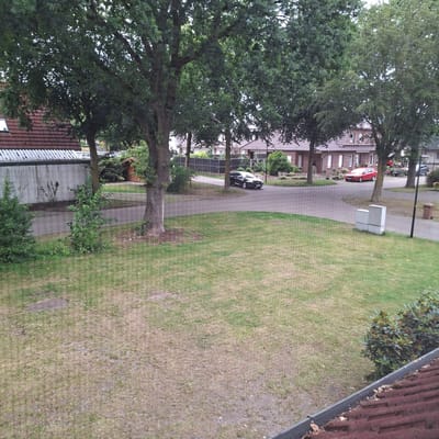 The image depicts an outdoor scene in Bösel, Germany, likely during daylight hours. The perspective is from an elevated position, looking down and across a residential area.
The primary subjects are a winding paved pathway and a grassy area. Along the pathway, a red car is parked near a building with a tiled roof and numerous windows. Further down the path, a dark-colored car is visible, also parked. Several trees are prominent in the foreground and mid-ground, with dense green foliage. In the background, more residential buildings with tiled roofs are visible, along with fences and some smaller trees or shrubs. To the right of the image, a section of a building with a red tiled roof and a dark, textured material is partially visible, possibly indicating a house or another structure.
In the mid-ground, near the red car, a stack of flat, rectangular objects, possibly construction materials or paving stones, is present. A trash bin with a wooden top is situated along the pathway, further away from the red car. The grassy area appears somewhat dry and sparse in places.
There are no people visible in the frame. The scene suggests a quiet residential setting. The time of day appears to be daytime, given the lighting conditions. No specific weather conditions are evident, but the greenery suggests it is not winter. No text is visible in the image.