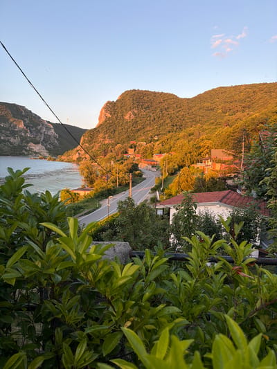 The image depicts a scenic view of the Danube River and the Golubac Fortress area in Golubac Municipality, Serbia, during sunset. The foreground is dominated by lush green foliage from a plant, obscuring the lower part of the scene. Beyond the foliage, a winding paved road with a street lamp runs along the riverbank, with a few scattered houses and buildings nestled amongst trees on the hillsides. The river, a placid body of water, reflects the warm hues of the setting sun. Steep, tree-covered hills rise dramatically on the right side of the river, bathed in the golden light of sunset. On the left, a sheer rock face, likely part of the fortress's natural defenses, juts out towards the water. The sky is a clear, pale blue with a hint of wispy clouds, indicative of early evening. A solitary wind turbine is visible on the crest of a distant hill. The overall atmosphere is serene and picturesque, capturing the natural beauty of the region.