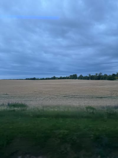 An overcast, dusky sky with visible clouds dominates the upper half of the image. A bright, horizontal blue light streak is present in the upper center of the sky. Below the sky, a vast, pale yellow field stretches horizontally across the midground. The field appears to be cultivated, possibly with stubble from a harvested crop. A dark green band of vegetation, likely trees, forms a line along the horizon at the far end of the field. In the foreground, a blurred strip of dark green grass runs horizontally, suggesting the image was taken from a moving vehicle, such as a train or car, looking out over a field near Świebodzin, Poland.