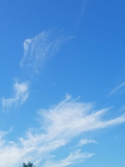 The image shows a bright blue sky with wispy white clouds. In the distance, a small black object appears to be flying, possibly a bird or an insect. The bottom of the frame shows the top of some green foliage, suggesting that the photo was taken from ground level looking up. The scene is likely outdoors in the city of Shumilina, Belarus, during daylight hours. There are no people or any discernible human activity visible in the image. The overall impression is one of a clear, pleasant day.