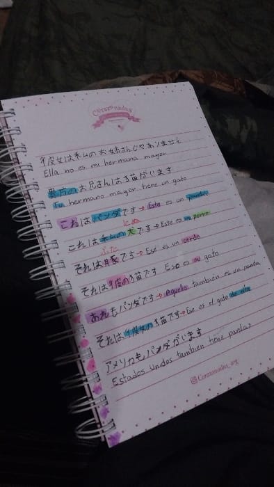 The image shows a close-up of a notebook with handwritten notes and colorful highlights in Spanish and Japanese. The notebook is open to a page with several lines of text written in black ink. The notebook has a white cover with pink polka dots and a small pink ribbon with the word "Coreanudas" written on it. The notebook is lying on a black surface. The notes discuss different animals in Spanish, including a cat, a dog, a panda, and a pig. The notes are written in a clear and legible handwriting, and the highlighted words are easy to read. The notebook is well-maintained and appears to be used regularly. The notes are most likely written by a student as part of their studies or personal learning. The notebook is positioned on a dark surface, likely a bed. It's difficult to determine the location in Bella Vista based on the image alone, and these coordinates are not within the city of Bella Vista.