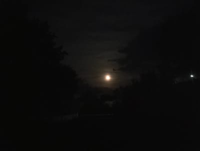 The image depicts a nighttime scene in Mykhnivtsi, Ukraine. A bright full moon is visible in the sky, partially obscured by clouds. Silhouetted trees frame the scene on the left and right sides, with their branches reaching towards the moon. In the foreground, a dark, indistinct landscape suggests an outdoor setting, possibly a park or a rural area, with a faint light source visible on the far right. The overall atmosphere is serene and quiet, characteristic of a tranquil night.
