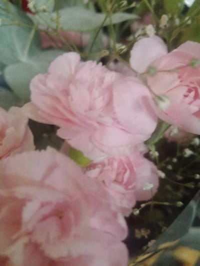 A cluster of pale pink carnations, their ruffled petals densely packed, fills the frame. Delicate sprigs of baby's breath, with tiny white blossoms, intertwine among the carnations. A few muted green leaves add texture to the background. The overall effect is soft and romantic, suggesting a bouquet or floral arrangement. The image has a slightly blurred quality, giving it a dreamlike feel.
