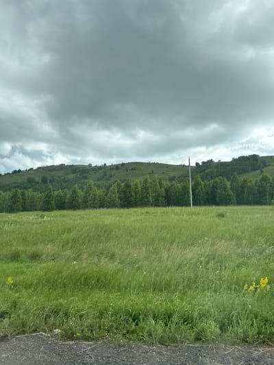 The image depicts a rural landscape under a cloudy sky. In the foreground, there is a dense field of tall green grass with some scattered wildflowers. A dark, textured surface, possibly a road or path, runs along the bottom edge of the frame. Behind the grassy field, a line of dense green trees forms a distinct treeline. Further in the background, a rolling green hill rises, dotted with sparse trees and rocky outcrops. A single utility pole stands vertically in the middle ground, supporting a thin wire that stretches across the scene. The sky is overcast with heavy, grey clouds, suggesting a possibility of rain. The scene appears to be a natural landscape, possibly on the outskirts of a rural area. There are no people or animals visible in the image. The location is described as the city of Uralsk, Russia.