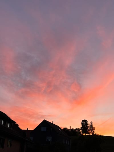 This is a vertical, eye-level, medium shot of a sunset in Lufingen, Switzerland. The sky is a vibrant gradient of pink, orange, and purple, with wispy clouds scattered across it. In the foreground, the silhouetted rooftops of several houses are visible. A large tree stands on a hill to the right of the frame. The overall impression is one of peacefulness and natural beauty.