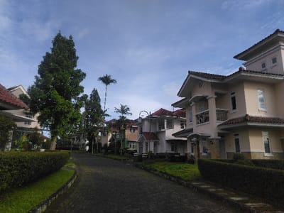 The image depicts a residential street scene under a partly cloudy sky, featuring a dark, textured paved road curving gently uphill. Both sides of the thoroughfare are lined with well-maintained green hedges and lawns. The street is flanked by multi-story houses of a Mediterranean or tropical architectural style, characterized by light-colored facades (beige, cream), terracotta-tiled roofs, prominent balconies with dark railings, and decorative columns. A tall, dense green tree is visible on the left, while several slender palm trees are interspersed among the houses further down the street. A street light pole is partially visible on the far right. No people or vehicles are present. The architectural style of the residences and the presence of palm trees are inconsistent with the known characteristics and climate of Røros, Norway.