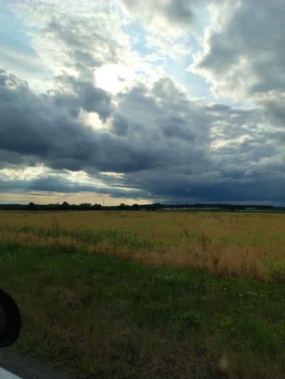 A wide-angle, vertical, eye-level photograph depicts a rural landscape under a dramatic sky. The sky is filled with a mix of dark, heavy clouds and brighter, sunlit patches, suggesting an approaching storm or the aftermath of one. Light breaks through the clouds in several areas, casting beams onto the scene below.
The middle ground of the image is dominated by a vast field. The field appears to be agricultural, with predominantly yellow and brown vegetation, likely a harvested crop or dry grasses, interspersed with patches of green. The texture of the field is varied, with taller stalks and lower growth visible.
In the background, a line of trees forms a dark silhouette against the lighter horizon. Beyond the trees, a gentle, rolling landscape is visible, with hints of rolling hills and possibly distant structures. A solitary electrical pylon is visible in the far distance, standing out against the sky.
The foreground shows a strip of green grass, with some dry weeds and wildflowers. To the far left of the frame, a portion of a dark, round object, likely a side-view mirror of a vehicle, is visible, suggesting the photograph was taken from a car. The ground beneath the grass appears to be a gravel or dirt surface.
The overall impression is one of a natural landscape at dusk or under challenging weather conditions, with a sense of vastness and a moody atmosphere. The location is identified as Nové Dvory, Czechia.
