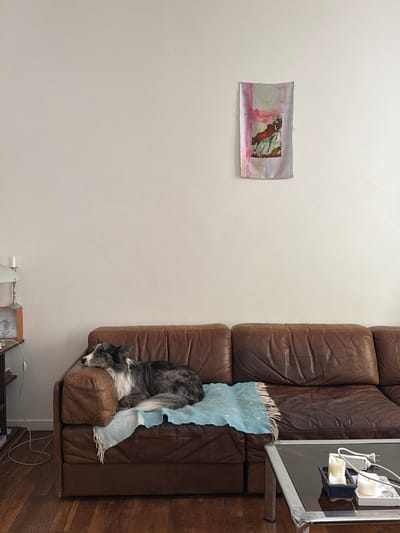 The scene is an interior view, likely a living room. A beige wall occupies the majority of the left side of the frame. A rectangular piece of abstract art hangs on the wall. A brown leather couch occupies the right side of the frame. A grey and white dog is lying on the end cushion of the couch, partially covered by a blue blanket with white fringe. A flat screen television is mounted on the wall above the couch. A small table with electronics and an exposed wood floor occupy the lower right corner of the frame. There is no evidence to support the claim that the image was taken in Aubervilliers, France.
