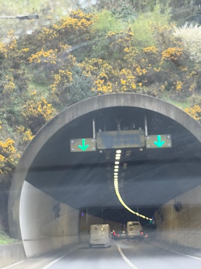 The image shows a tunnel entrance reflected in a window, with greenery including yellow flowering bushes visible outside. Inside the tunnel, direction signs with green arrows point right. A string of white lights runs along the tunnel roof. Two vehicles are visible inside the tunnel. The location is the Hindhead Tunnel, which is located in Waverley, United Kingdom.