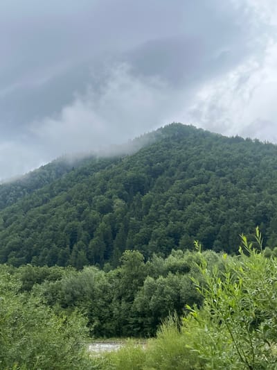 The image depicts a lush, verdant mountain landscape in Ust-Chorna, Ukraine. The foreground is dominated by dense foliage of various shades of green, with some branches extending towards the viewer. A river, characterized by its rippling water, is visible in the lower center of the image, flowing through a bed of rocks.
Behind the foreground, a steep, tree-covered mountain rises. The mountain's slopes are densely packed with a variety of trees, creating a rich tapestry of green. Some parts of the mountain are shrouded in a light mist or fog, adding a sense of depth and mystery to the scene. The summit of the mountain is barely visible, as it is partially obscured by the cloudy sky.
The sky itself is overcast with heavy, grey clouds, suggesting a potentially rainy or misty day. The overall atmosphere is one of natural beauty and tranquility, with the vibrant greenery contrasting against the muted tones of the sky and the mist. There are no people or artificial structures visible in the image.