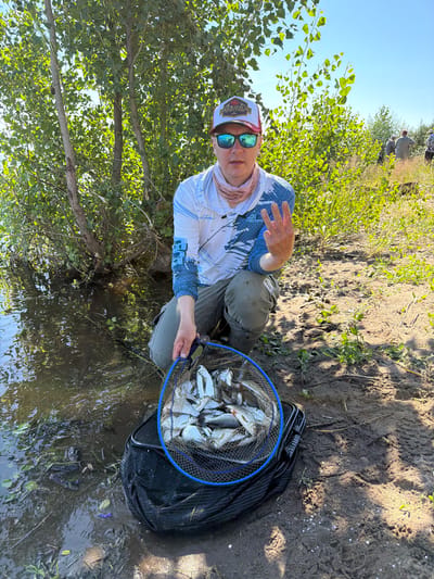 A man is kneeling on the muddy bank of a body of water, holding a fishing net filled with several small fish. He is wearing a white long-sleeved shirt with blue accents, grey fishing pants, a cap with red and white details, and sunglasses. His left hand is raised, showing three fingers. The background consists of trees, vegetation, and a clear blue sky. In the distance, a few other people are visible. The scene appears to be a natural outdoor environment, likely a fishing spot in Kambarka, Russia, given the context.