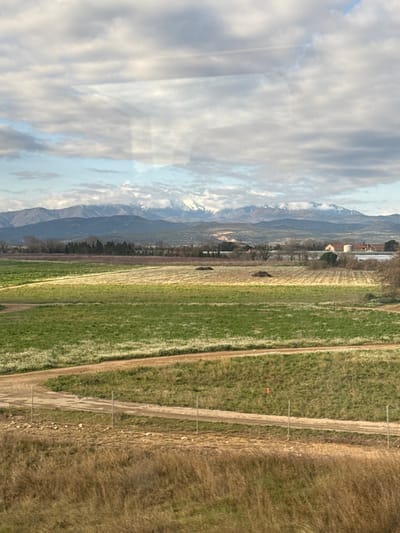The image depicts a rural landscape located within the municipality of Canohès, France. The scene is viewed under a sky predominantly covered by grey and white clouds, with intermittent patches of blue. In the background, a distant mountain range with snow-capped peaks is visible, partially obscured by clouds. The middle ground consists of various agricultural fields. Some fields are vibrant green with dense vegetation, including numerous small white flowers. Adjacent fields display tilled earth in discernible rows or exhibit drier, lighter green and brown vegetation. Two distinct dark brown mounds, consistent with piled organic material, are situated in one of the tilled fields. Multiple unpaved dirt tracks crisscross these fields. Along the horizon in the midground, a line of trees with bare branches is visible, and further to the right, a small cluster of structures includes a building with a reddish-brown roof and white cylindrical tanks. The immediate foreground features dry, yellowish-brown grass and sparse, low-lying vegetation. A curving dirt road or path traverses the lower portion of the image, marked by several thin, grey vertical posts and a single orange marker. No individuals, animals, or active subjects are present in the scene. Faint, diffuse reflections are visible across the upper half of the image, indicative of the photograph being captured through a window or transparent surface.