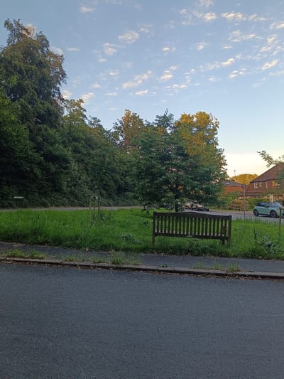The image depicts a public park area in Arun, United Kingdom, under a partly cloudy sky. A dark asphalt road occupies the foreground, with a paved footpath adjacent to it, lined with unkempt grass and some fallen leaves. In the middle ground, a wooden slatted bench sits on a grassy area. Beyond the bench, a paved road is visible, with several cars parked along it and one green convertible parked to the right. Residential buildings with tiled roofs are situated in the background. A speed limit sign with "20" is visible on a post near the houses. A densely wooded hillside forms the backdrop on the left side of the image, with a small sign indicating "CANADA ROAD" visible on the left side of the road. The overall scene is one of a quiet suburban environment during daylight.