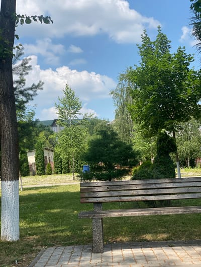 The image depicts a park scene on a sunny day in Zastavna, Ukraine. The main subjects are a weathered wooden park bench and a lush green park area. The bench, made of several wooden slats supported by concrete, is positioned on the right side of the frame, running vertically in the rotated image. The seat of the bench has some graffiti, including what appears to be a name and several heart shapes.
The park itself is characterized by vibrant green grass and numerous trees with full, leafy canopies. In the background, there are glimpses of buildings and fences, suggesting a residential or public area adjacent to the park. The sky above is a bright blue, dotted with fluffy white clouds, indicating pleasant weather. The lighting suggests it is daytime, likely late morning or early afternoon, given the strong shadows cast on the grass.
A paved walkway is visible extending into the park from the right, bordering the grassy area. On the left side of the frame, the trunk of a large tree, partially painted white at its base, is prominent. The overall impression is one of a tranquil, well-maintained outdoor space enjoyed on a clear day. There is no overt activity or event taking place, rather the image captures a static moment in the park.