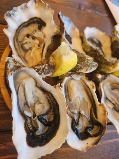 A close-up shot captures a collection of freshly shucked oysters arranged on a wooden surface, likely a table. The oysters are nestled within their rough, natural shells, revealing their glistening, pale flesh and dark, wavy mantles. A wedge of bright yellow lemon is strategically placed amongst the oysters, suggesting they are ready to be consumed. The wooden surface shows a visible grain pattern, indicating a rustic setting. The lighting is natural and diffused, highlighting the texture and sheen of the oysters and the lemon. The scene is static and devoid of any human presence or activity, focusing entirely on the presentation of the seafood. The specific location is Jošice, Montenegro.
