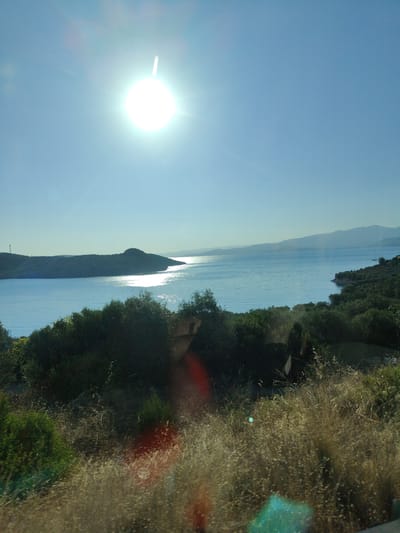 This image shows a wide, sun-drenched view of a body of water with islands and distant mountains under a clear blue sky. The sun is a bright, dominant feature in the upper left quadrant, casting a strong glare. The water is calm and reflects the sunlight, creating a shimmering effect. In the foreground, there is dense vegetation, including trees and dry grasses, with some of the foreground appearing slightly out of focus. The scene appears to be a coastal landscape. The metadata indicates the location as Pelasgia, Municipal Unit of Pelasgia, Greece. No people or specific structures are clearly identifiable, suggesting a natural scenic view.
