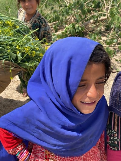 This image captures a vibrant, sunlit outdoor scene featuring two young girls in Ashoqah, Afghanistan. In the foreground, a girl with dark hair is prominent, wearing a bright blue head covering that drapes over her shoulders and a patterned dress with red accents. Her face is turned slightly, and she is smiling broadly with her eyes closed, conveying a sense of joy or amusement.
In the mid-ground, partially obscured, a second young girl is visible. She is also smiling gently towards the viewer and wears a patterned garment with a light-colored beaded necklace. This girl is holding a large bundle of green plants adorned with small yellow flowers, suggesting an activity related to harvesting or gathering natural resources. A third person's patterned clothing is faintly visible on the far right.
The setting appears rural or agricultural, characterized by dry, unpaved ground and sparse vegetation in the background, including bushes or small trees. The bright sunlight indicates it is daytime, likely a clear and warm day. The image evokes a positive and lighthearted mood, capturing a moment of happiness amidst daily life in this region. There is no visible text in the image.